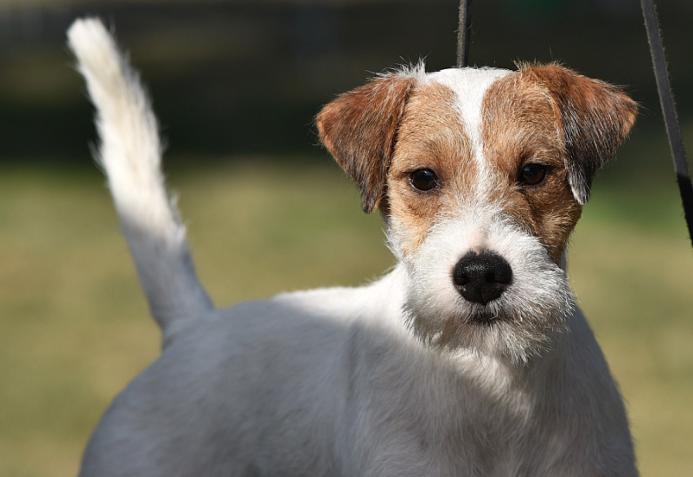 UPSIDE LOVE URUS  De La Cité Du Bolwerk